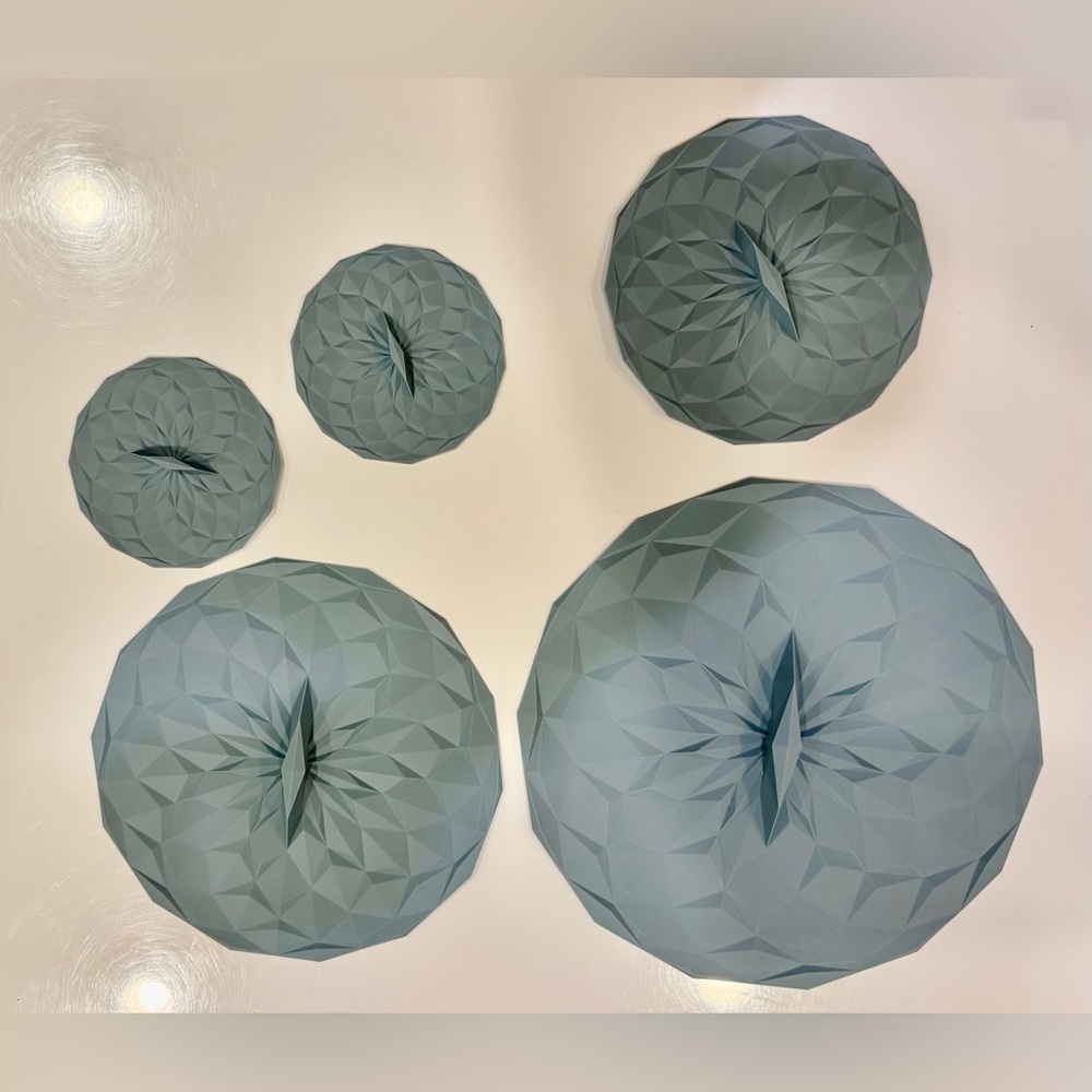 GIR Universal Suction Lid Set of 5, in Different Sizes